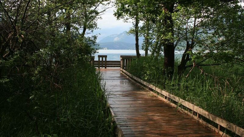 Réserve du Bout du Lac