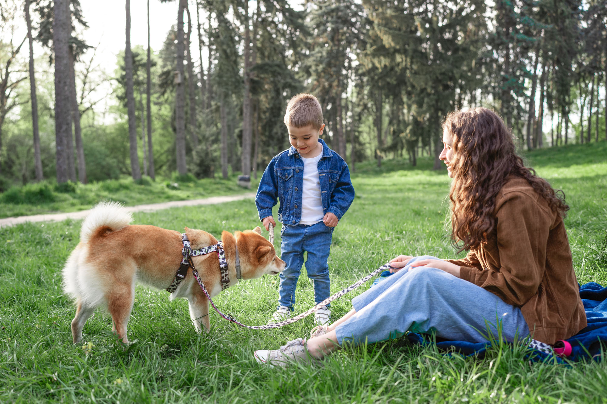 pet vacation at camping la ravoire