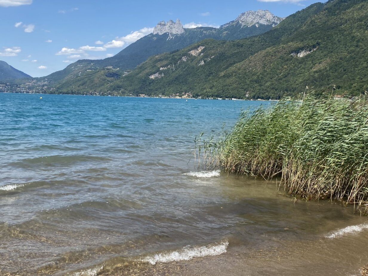 nager au lac d annecy en été